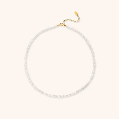 Avaria - Freshwater Pearl Choker Necklace